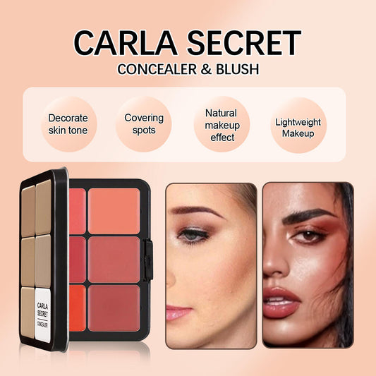 Paleta de Sombras de 12 Colores